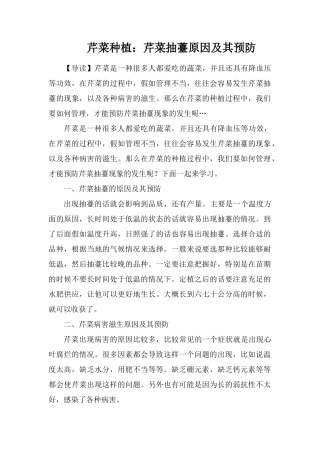 芹菜种植：芹菜抽薹原因及其预防