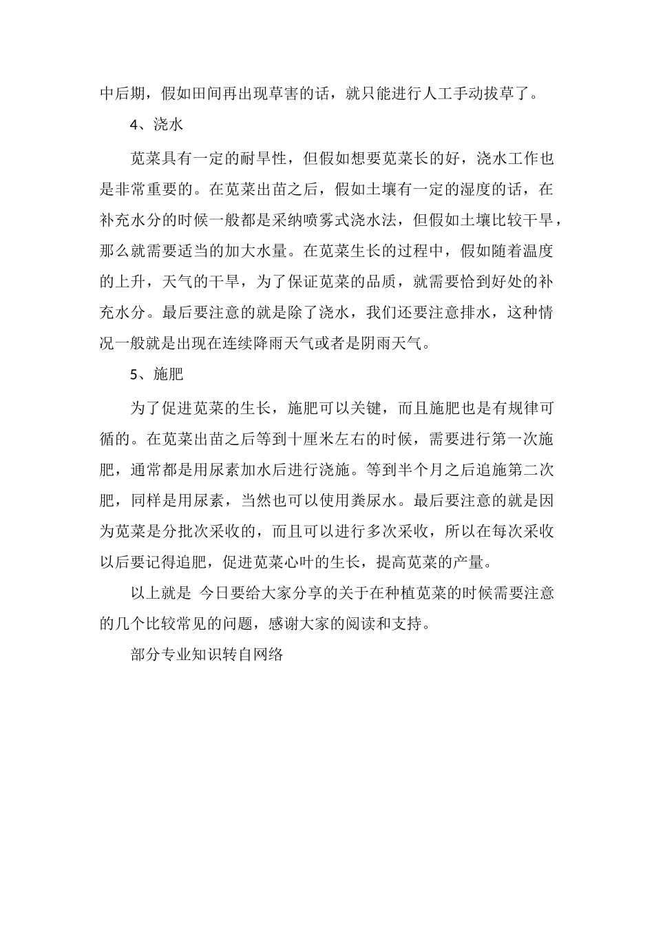 苋菜种植的注意事项_第2页