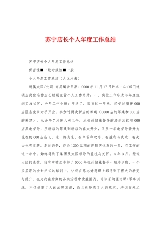 苏宁店长个人年度工作总结