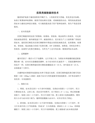 茄果类嫁接栽培技术