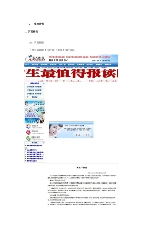 荆州北大青鸟网站方案