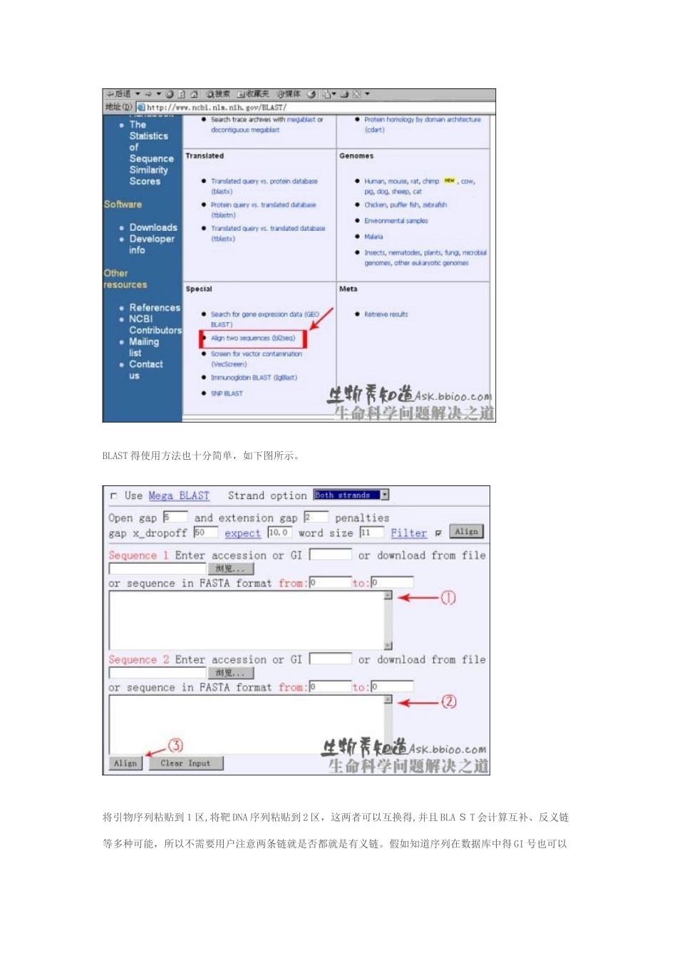 荧光定量PCR引物设计原则_第3页