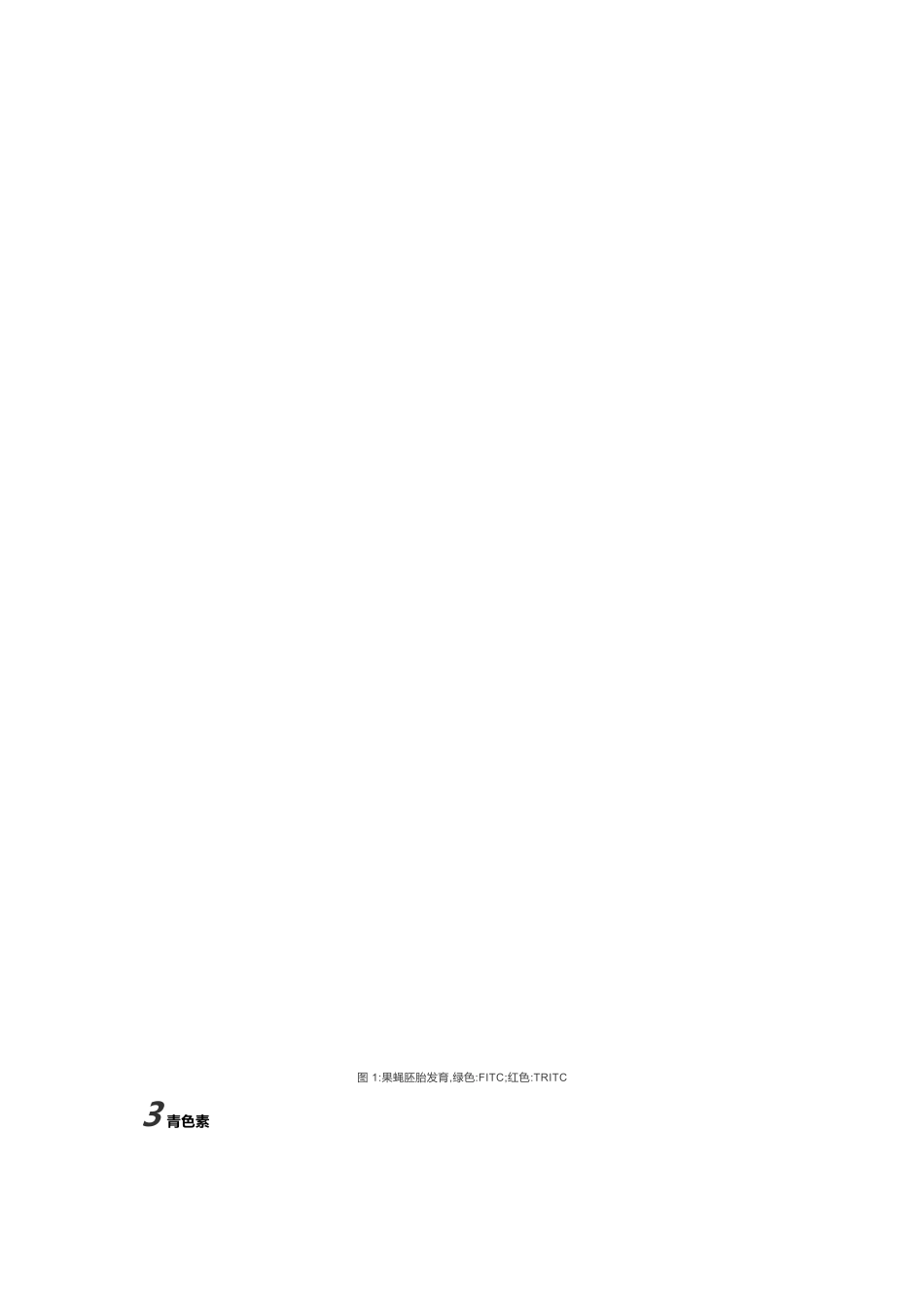 荧光染料基础知识大全_第2页