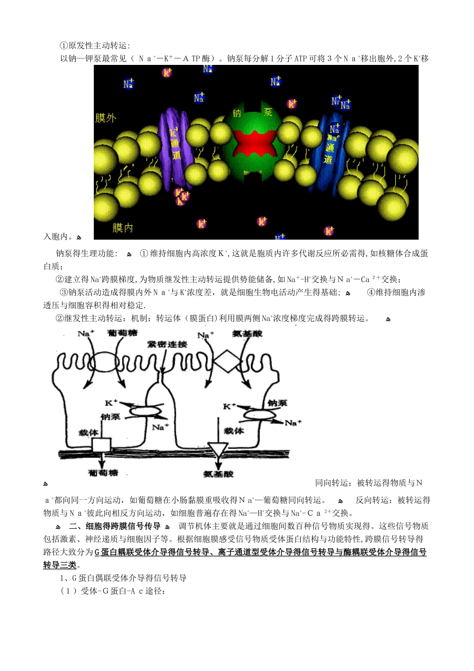 药士基础知识讲义-生理学_第3页