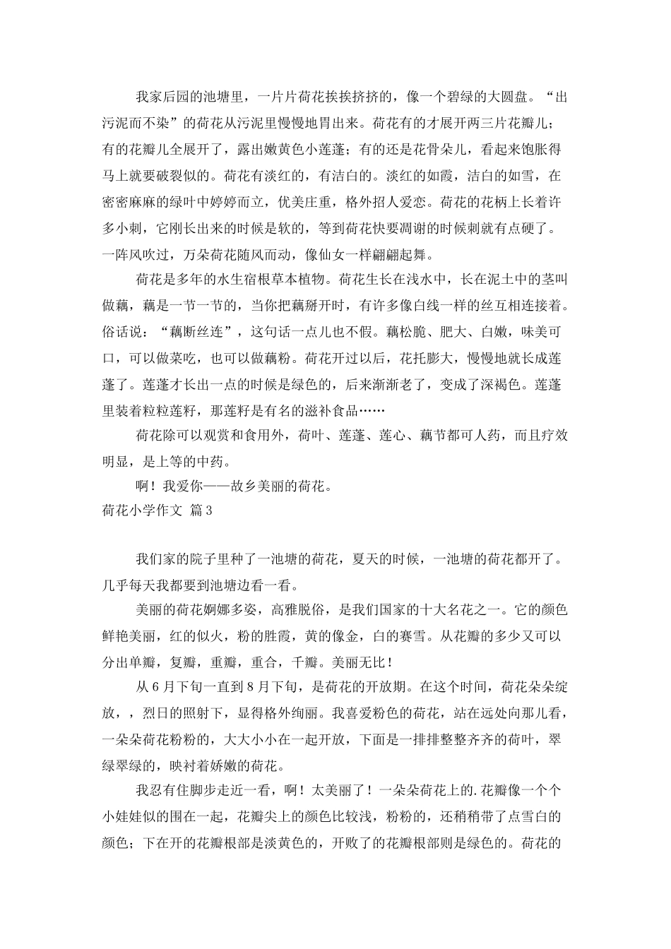 荷花小学作文5篇_第2页