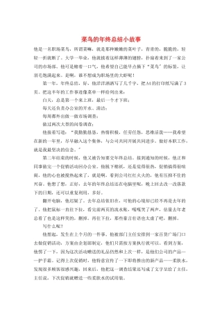 菜鸟的年终总结小故事