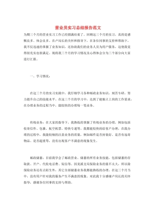 营业员实习总结报告范文