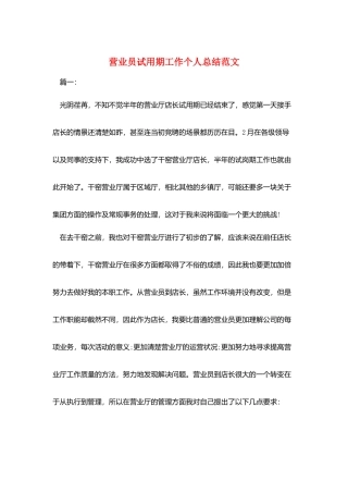 营业员试用期工作个人总结范文