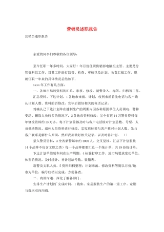 营销员述职报告