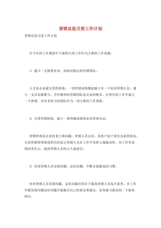 营销总监月度工作计划
