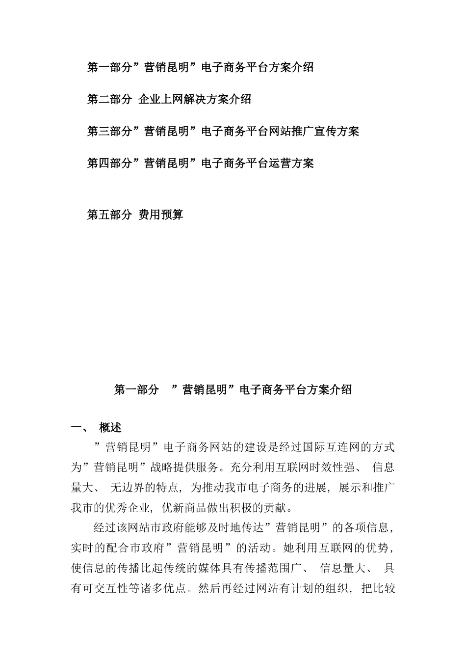 营销昆明电子商务网站网站建设方案样本_第2页