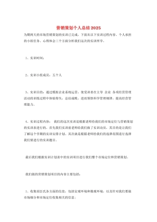 营销策划个人总结2025