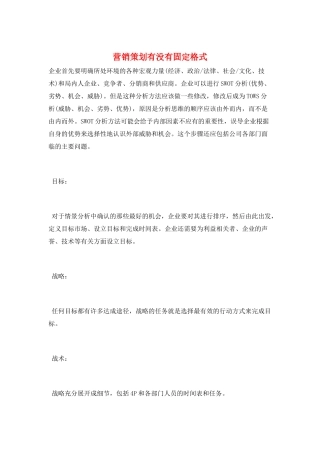 营销策划有没有固定格式