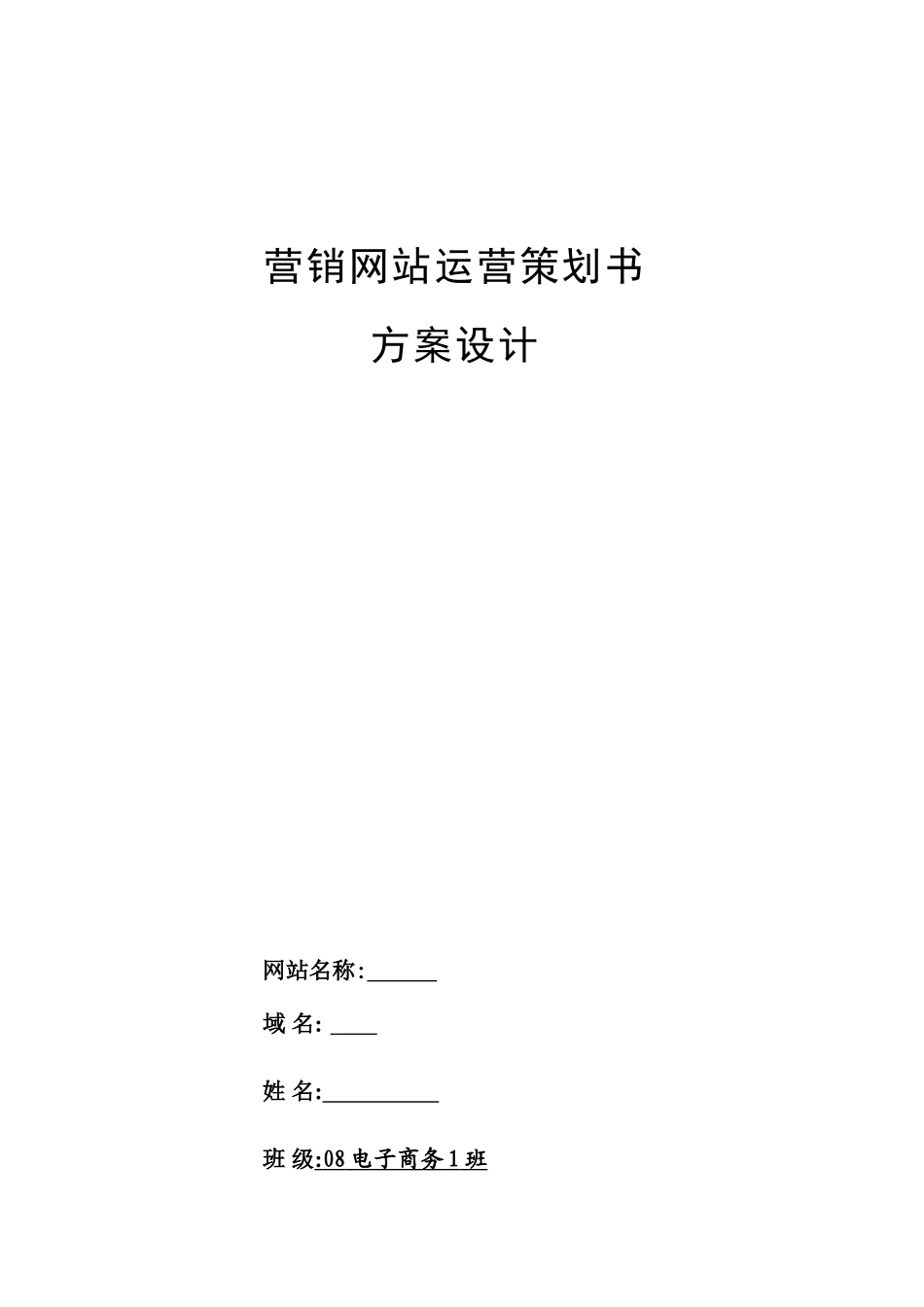 营销网站运营策划书_第1页