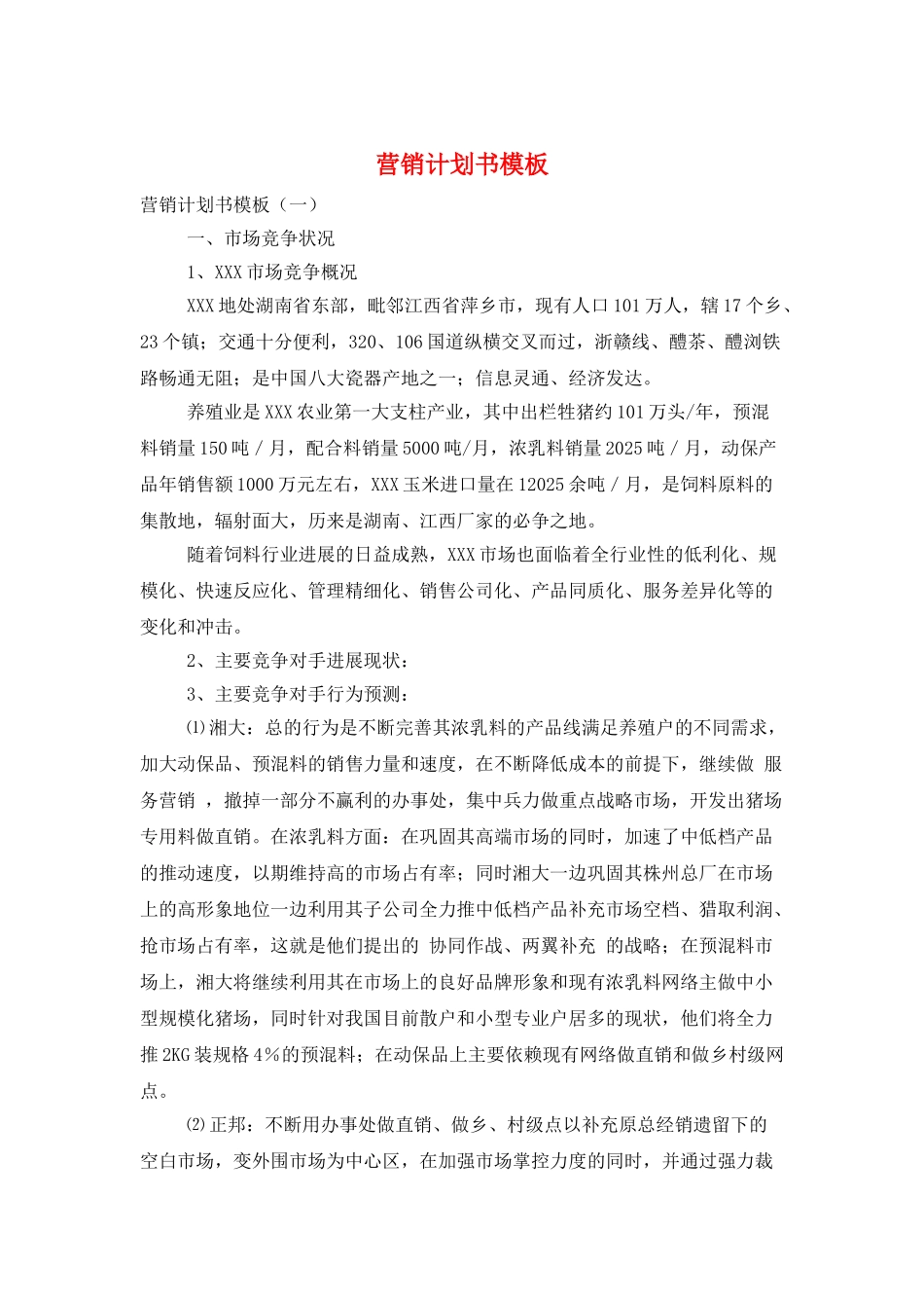 营销计划书模板_第1页