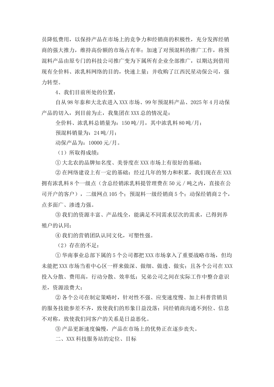 营销计划书模板_第2页