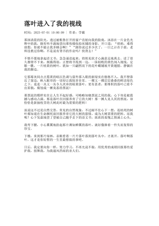 落叶进入了我的视线