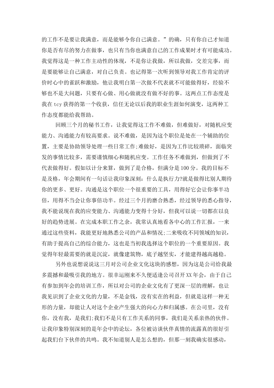 董事长秘书试用期转正工作总结范文_第3页
