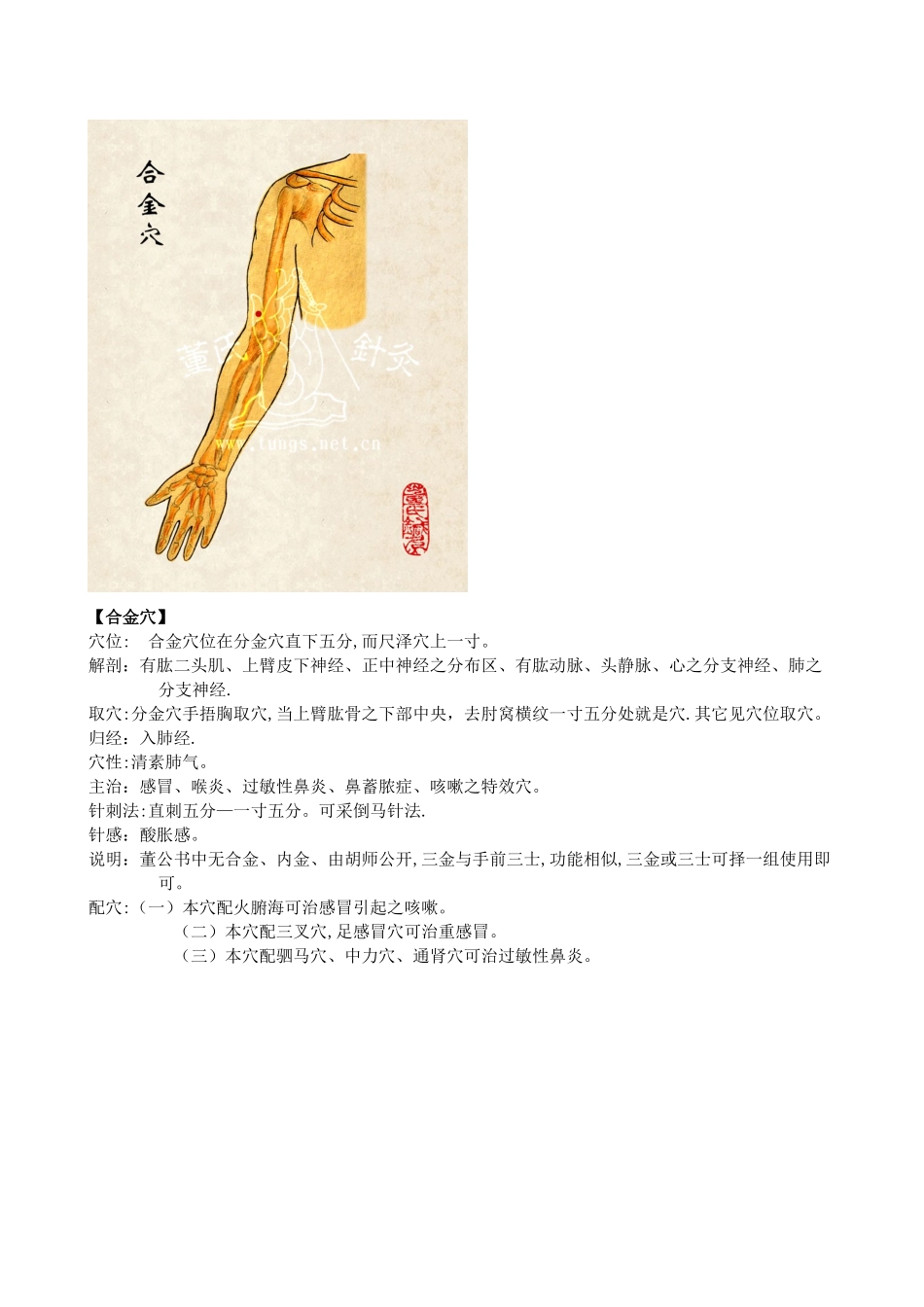 董氏针灸四四上臂部位_第2页