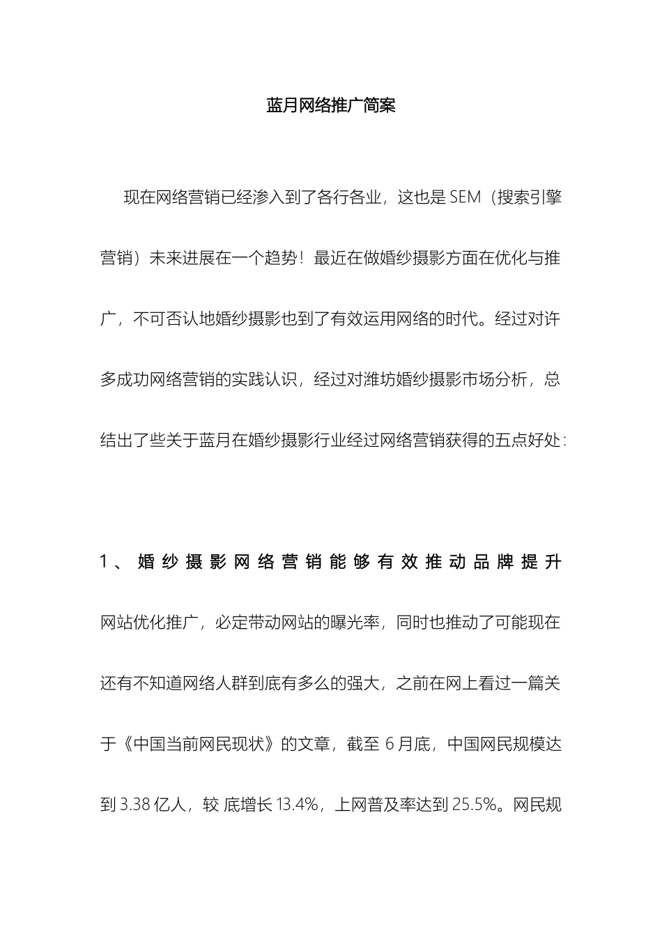 蓝月网络推广方案_第2页