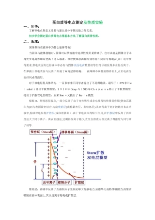 蛋白质等电点测定