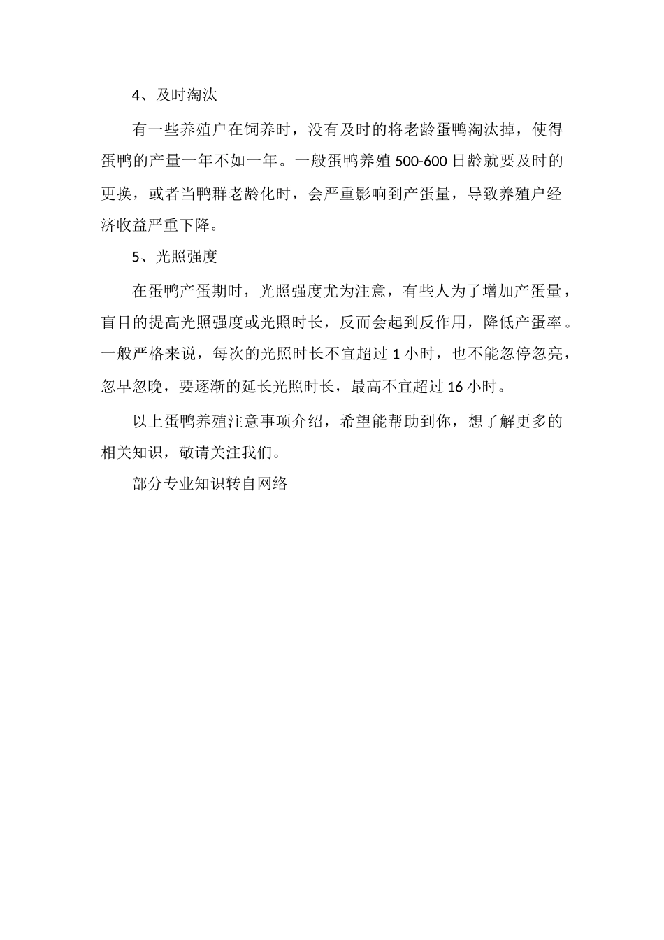 蛋鸭养殖注意事项_第2页