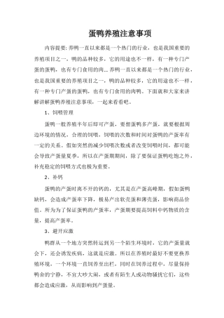 蛋鸭养殖注意事项