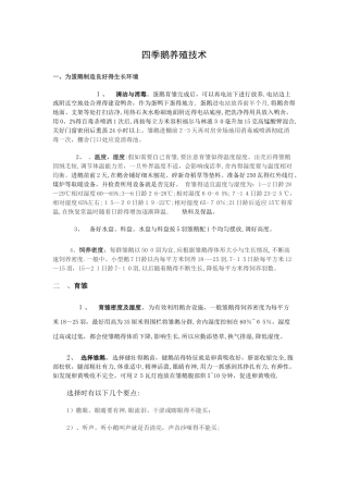 蛋鹅的养殖技术及流程