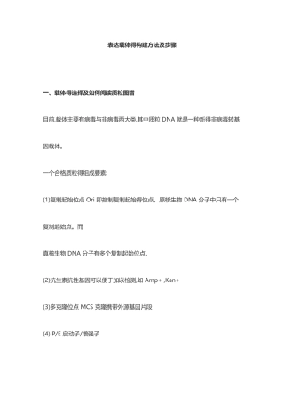 表达载体的构建方法及步骤