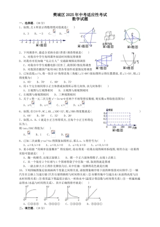 襄阳市樊城区2025年中考适应性考试数学试题