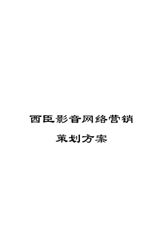西臣影音网络营销策划方案