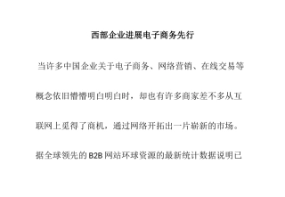 西部企业发展电子商务先行