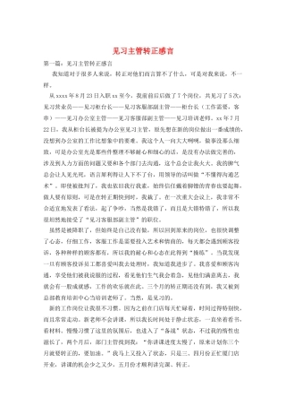 见习主管转正感言