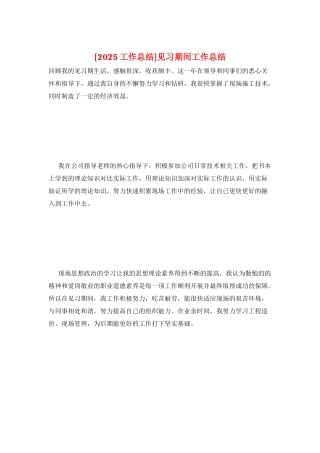 见习期间工作总结