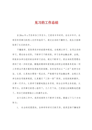 见习的工作总结
