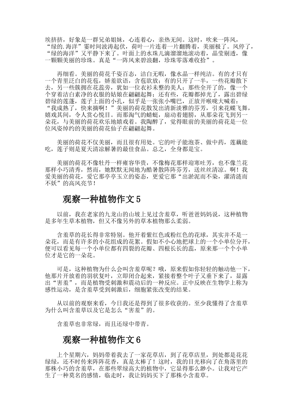 观察一种植物作文_第3页