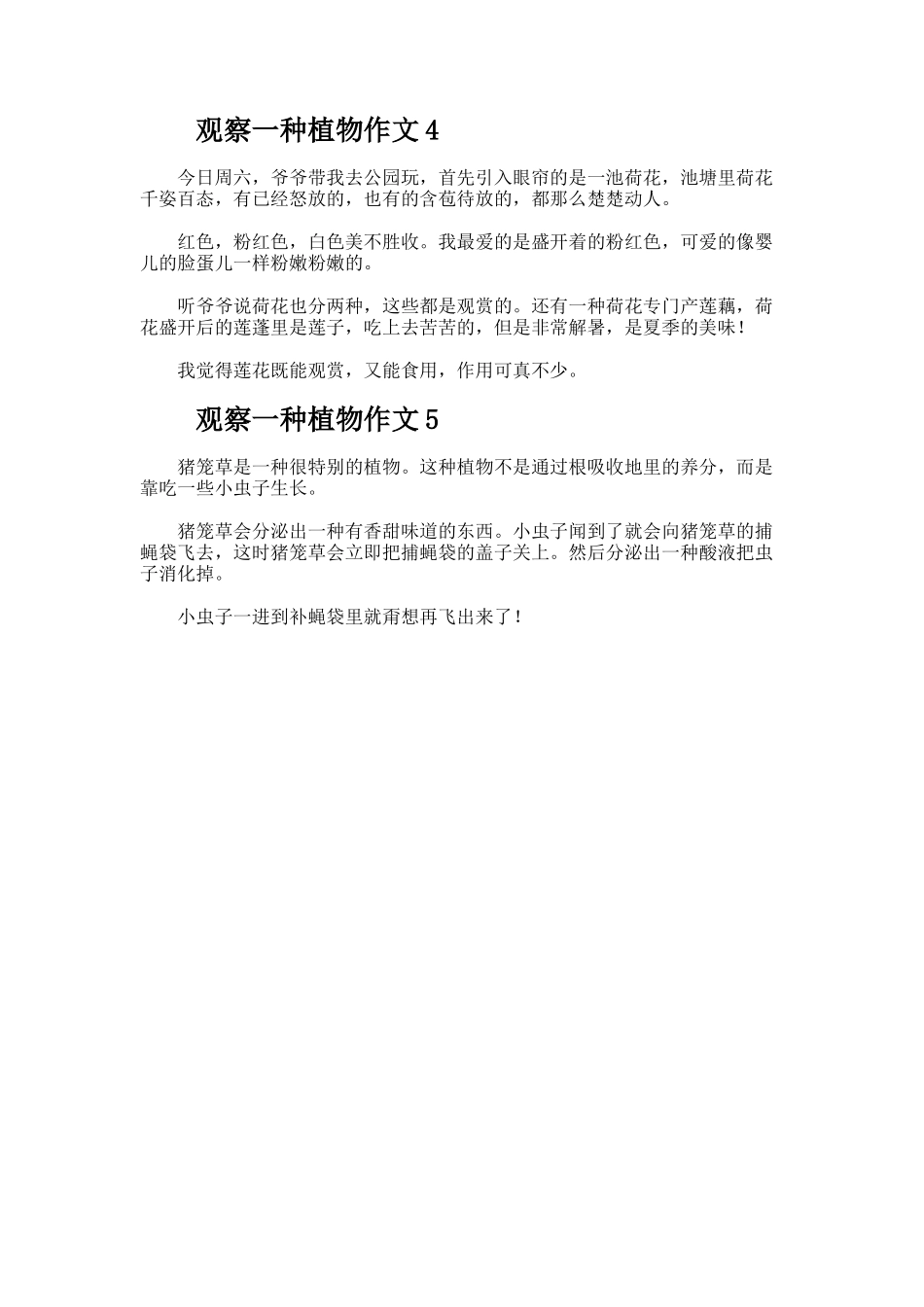 观察一种植物作文._第2页
