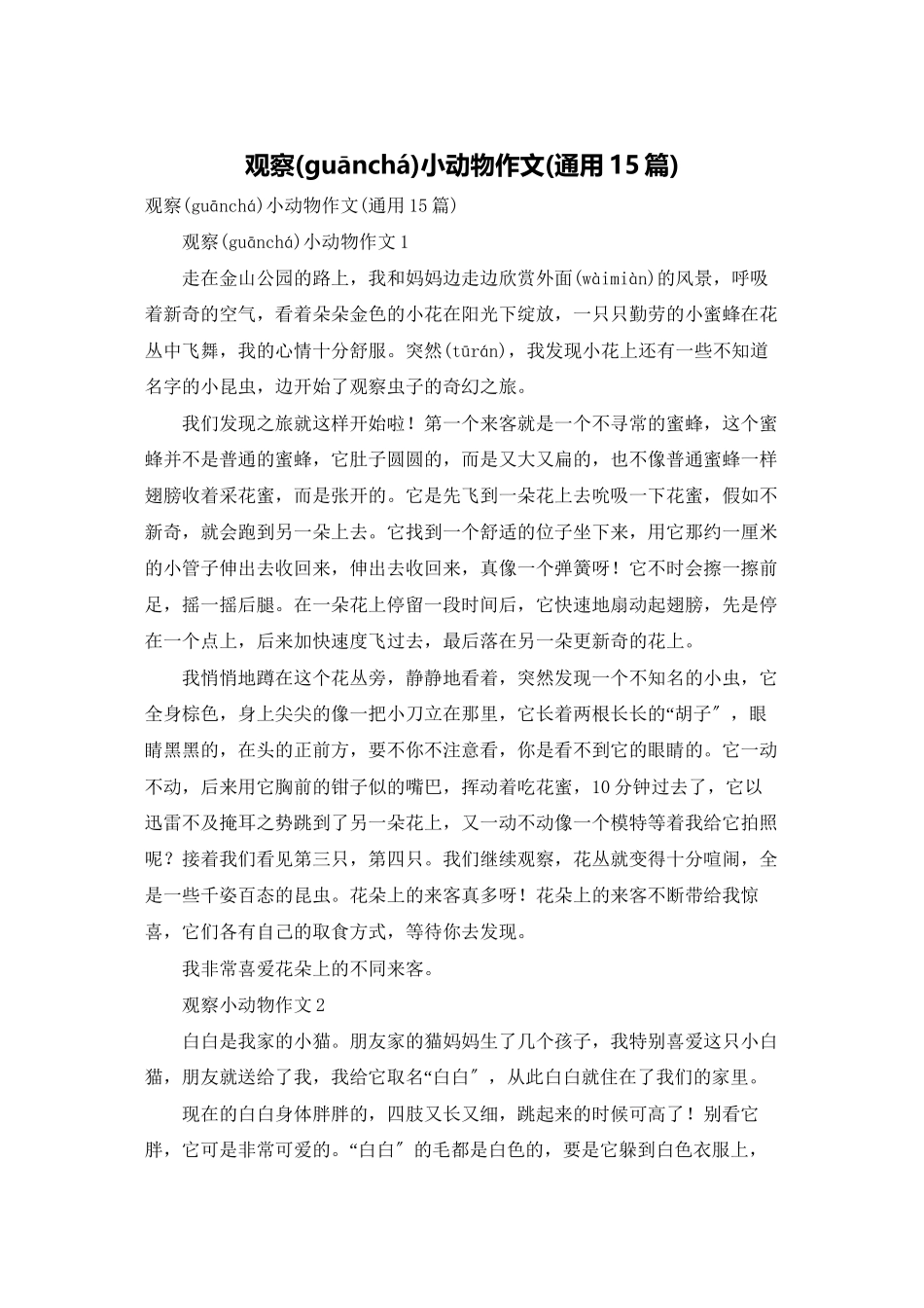观察小动物作文_第1页