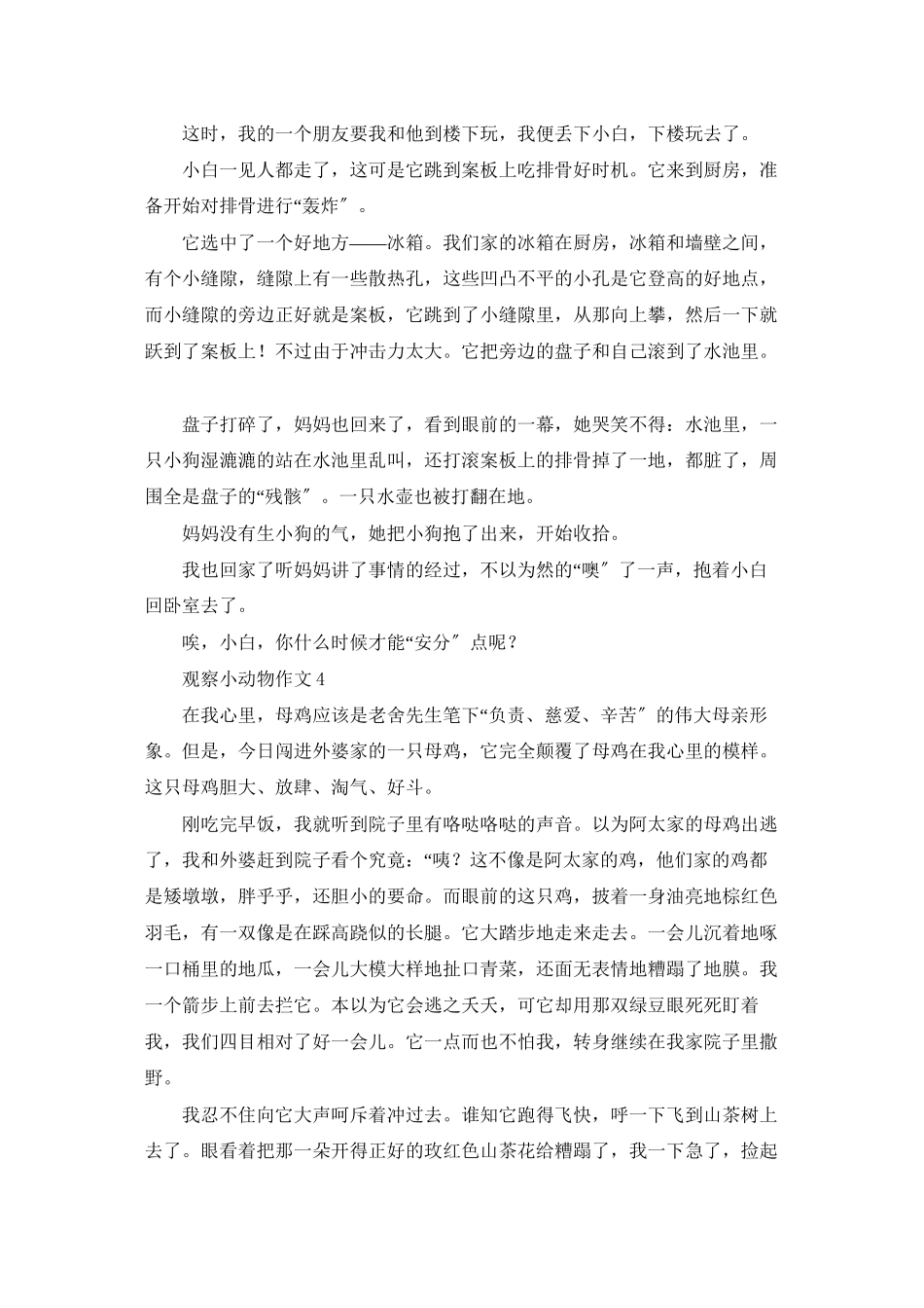 观察小动物作文_第3页