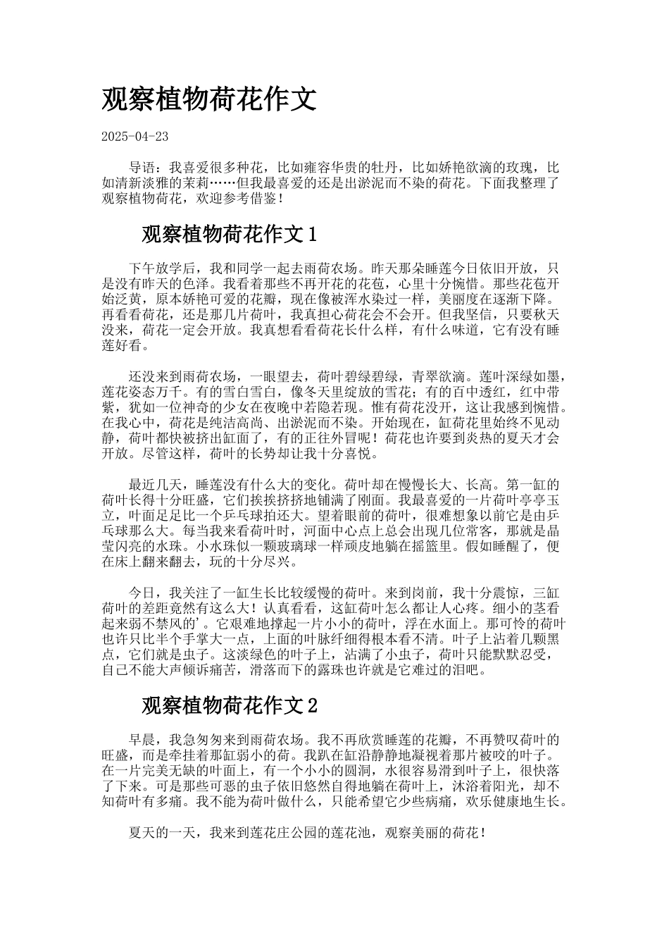 观察植物荷花作文_第1页