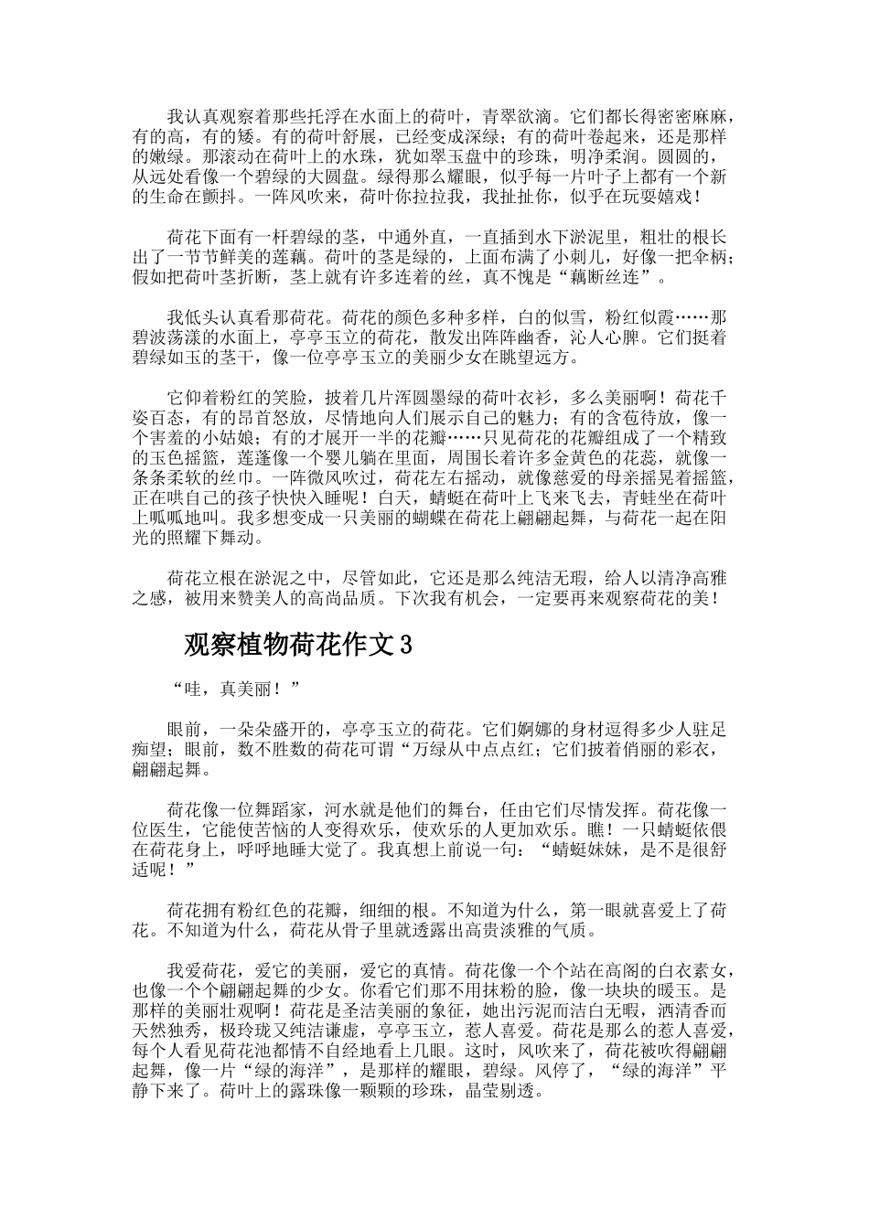 观察植物荷花作文_第2页