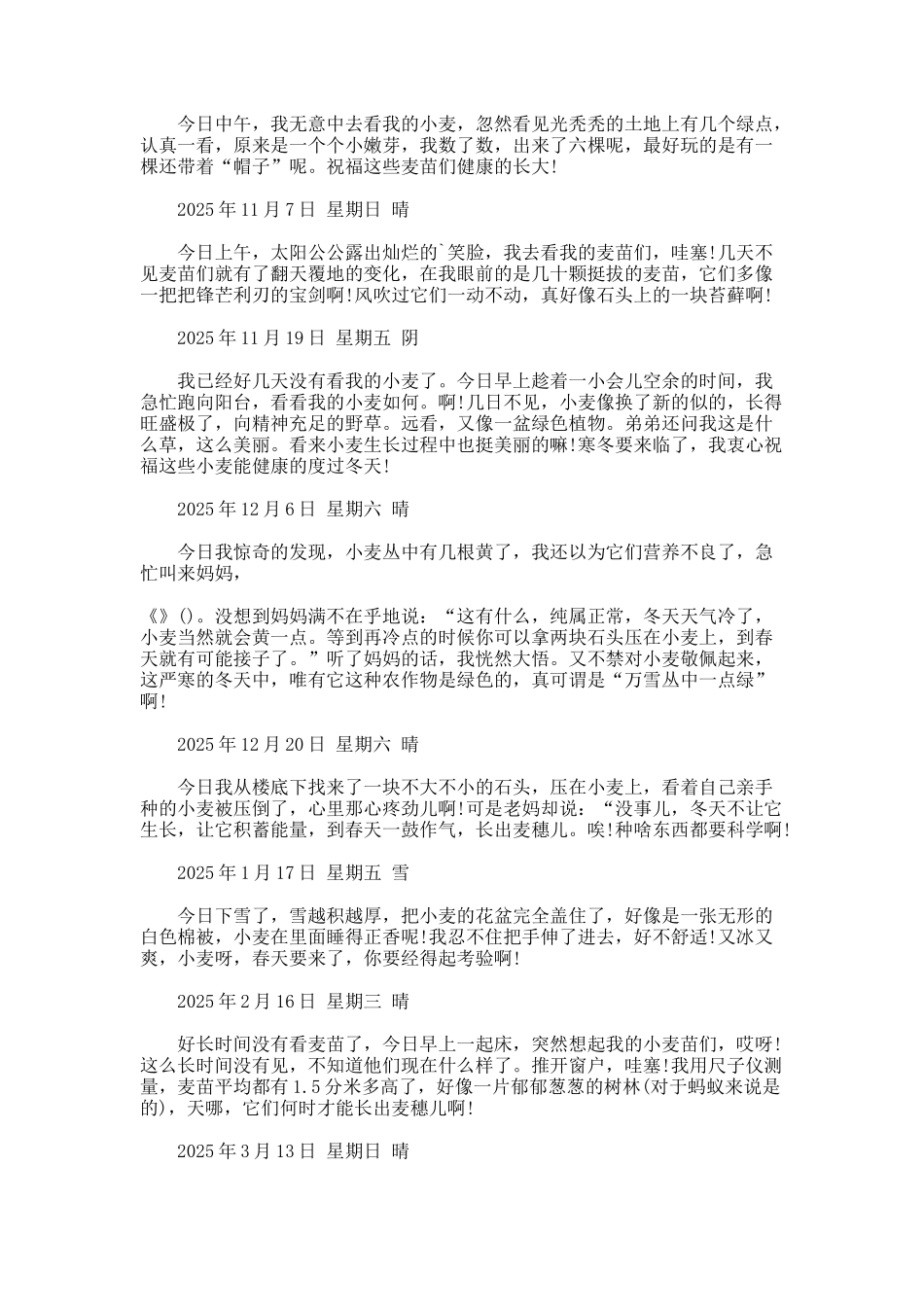 观察麦子生长日记._第2页