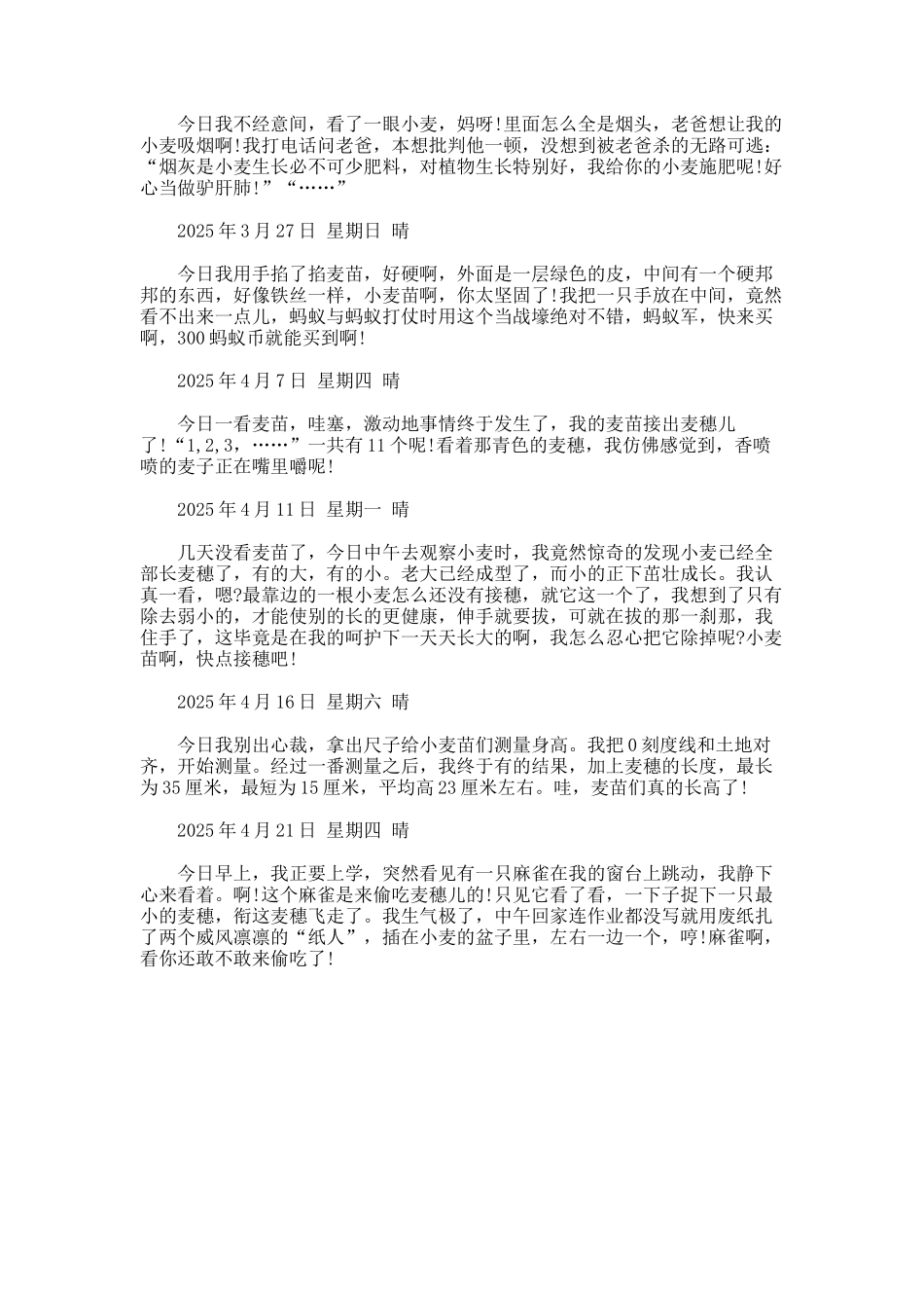 观察麦子生长日记._第3页