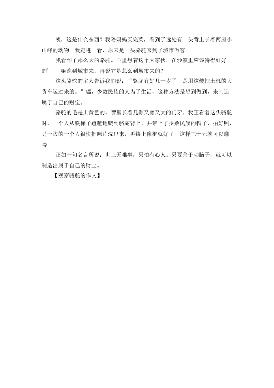 观察骆驼的作文_第2页