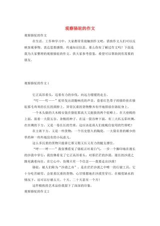 观察骆驼的作文