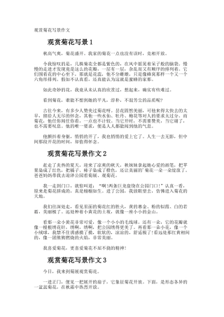 观赏菊花写景作文