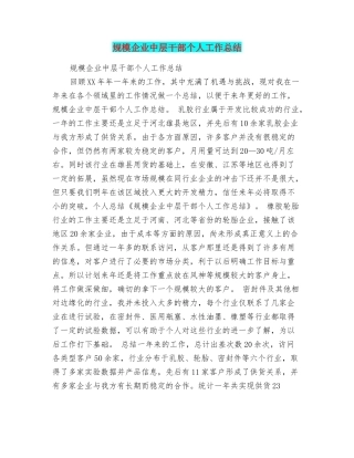 规模企业中层干部个人工作总结