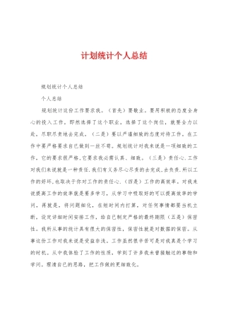 计划统计个人总结