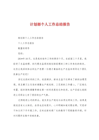 计划部个人工作总结报告
