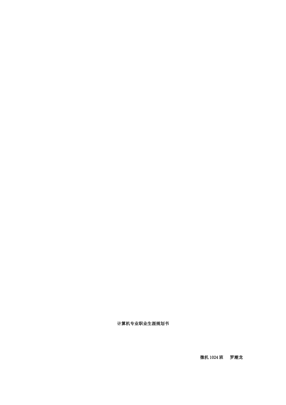 计算机专业职业生涯规划书模板_第3页